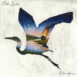 Old Soul : Blue Heron
